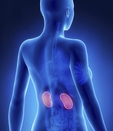 kidney disease treatment