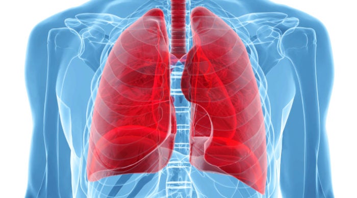 human body under X-rays isolated on white with highlighted  lungs