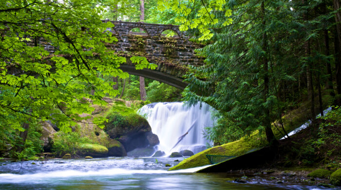 A view of Whatcom Falls in Bellingham, WA from under the foot bridge and the water flowing down Whatcom Falls Creek.