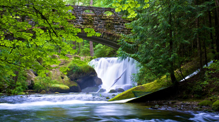 A view of Whatcom Falls in Bellingham, WA from under the foot bridge and the water flowing down Whatcom Falls Creek.